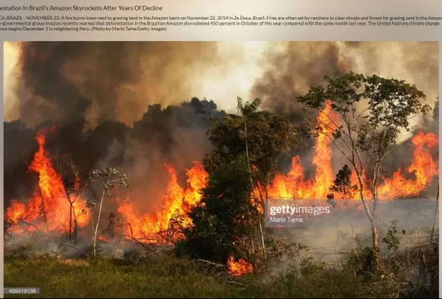 Estas son las fotos falsas que desinforman sobre los incendios en la Amazonía