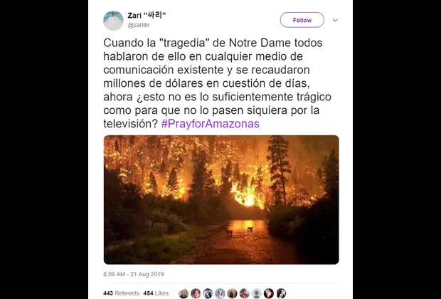 Estas son las fotos falsas que desinforman sobre los incendios en la Amazonía