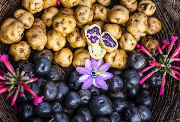 Fiestas Patrias: 10 cosas de las que los peruanos nos sentimos orgullosos