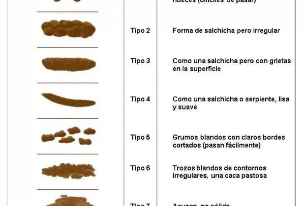 tipos de heces o caca