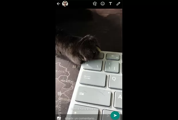 Cómo compartir tu estado de WhatsApp en Facebook Stories