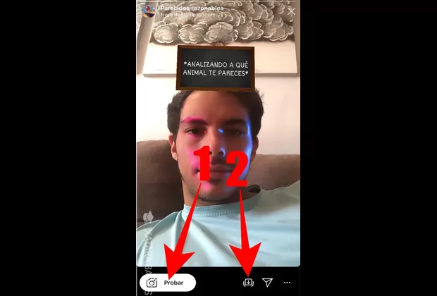 Instagram cómo descargar el filtro del animal