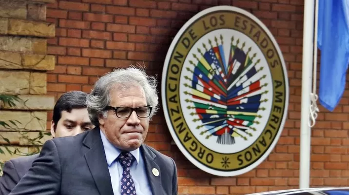 Luis Almagro, secretario general de la OEA. Foto: AFP Luis Almagro, secretario general de la OEA. Foto: AFP