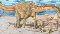 Argentina: hallan restos de una especie de dinosaurio nunca antes vista. (Foto y video: CTyS)