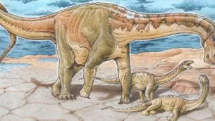 Argentina: hallan restos de una especie de dinosaurio nunca antes vista. (Foto y video: CTyS)