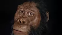 Así lucía el Australopithecus Anamensis, ancestro humano de hace 3,8 millones de años. Foto: EFE