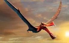 Australia: Científicos encuentran a un dinosaurio volador que era "lo más parecido a un dragón" - Noticias de australia