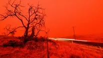 Australia: Humo causado por devastadores incendios podría dar la vuelta al mundo. Foto: AFP/Video: Canal N