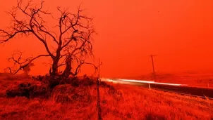 Australia: Humo causado por devastadores incendios podría dar la vuelta al mundo. Foto: AFP/Video: Canal N