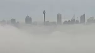 Intensa niebla cubrió la ciudad de Sydney, Australia. Foto: Canal N