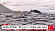 Ballena se traga y expulsa a joven que hacía kayak en Chile