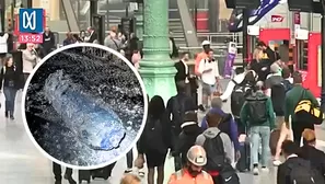 Foto y video: Canal N