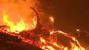 Incendio forestal en Corea del Sur. Video: Canal N