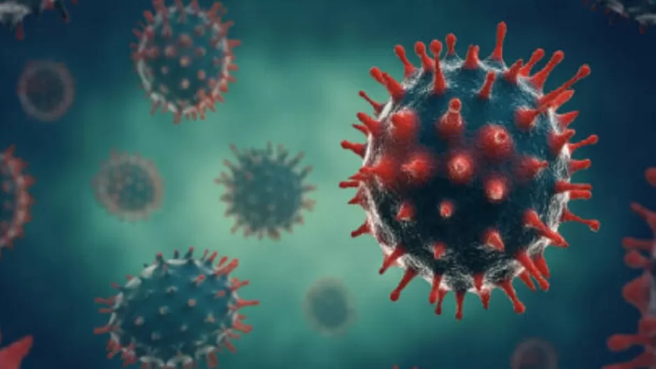 Brasil detecta nueva variante del coronavirus que combina 18 mutaciones. Foto referencial: iStock