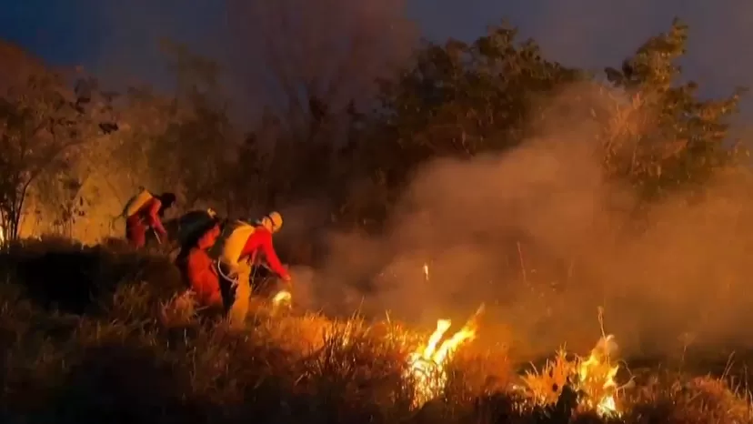 Brasil: Incendios en la Amazonia aumentaron en 61% respecto al 2023