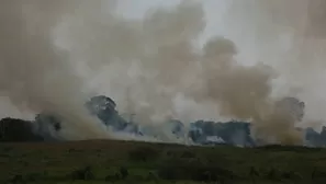 Brasil: más de 1000 nuevos incendios se declararon en las últimas horas en la Amazonía. Foto y video: AFP