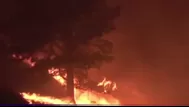¿Por qué Canadá declaró estado de emergencia por los incendios?