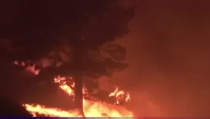 Emergencia en Canadá: Más de 20 000 personas han sido evacuadas en Columbia Británica por incendios forestales fuera de control. Se decretó el estado de emergencia y las Fuerzas Armadas permanecen en alerta. Video: Canal N