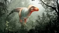 Hallan una nueva especie de tiranosaurio cercano al T-Rex