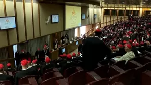 Los cardenales retomaron las reuniones preparatorias al cónclave que se iniciará el próximo 7 de mayo. Video: Canal N