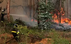 Chile recibe ayuda internacional para controlar incendios forestales - Noticias de Ivana Yturbe