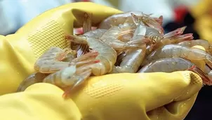 Coronavirus en China. Foto: Archivo El País