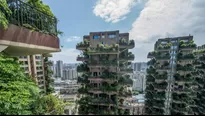 China: Plantas invaden un condominio y ahuyentan a residentes. Foto: AFP