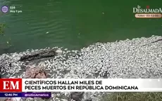 Científicos hallan miles de peces muertos en República Dominicana - Noticias de cientificos
