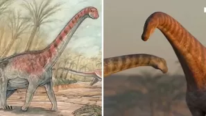 Foto y video: Canal N