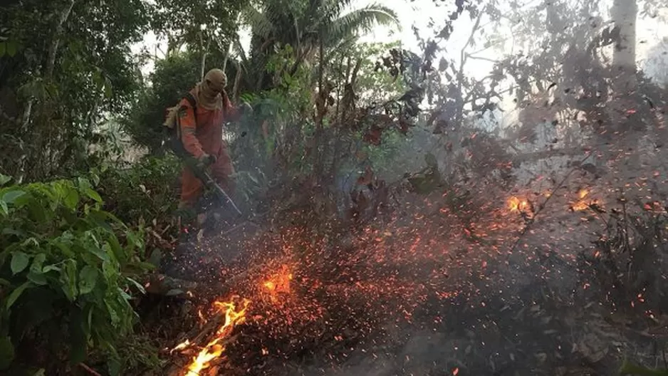 Colombia, Chile y Venezuela ofrecen ayuda a Brasil ante incendios en la Amazonía. Foto: EFE