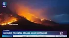 Colombia: voraz incendio arrasó con 3 mil hectáreas