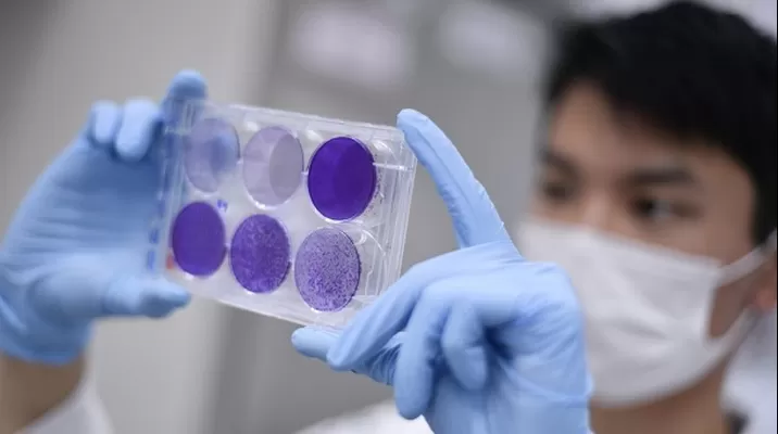 Coronavirus en Brasil. Foto referencial: AFP Coronavirus en Brasil. Foto referencial: AFP