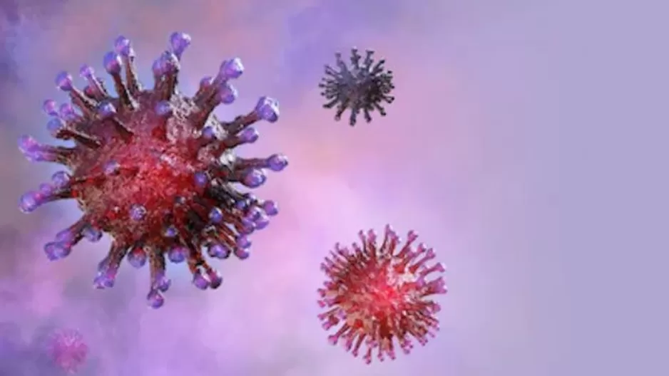 Coronavirus: Descubren c&oacute;mo la enfermedad entra a las c&eacute;lulas humanas. Foto: Shutterstock