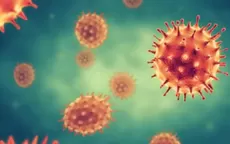 Coronavirus: Descubren anticuerpo que bloquea infección de la COVID-19 en las células - Noticias de bloqueo