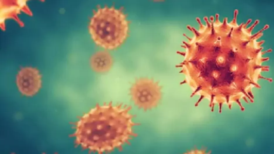 Coronavirus: Descubren anticuerpo que bloquea infecci&oacute;n de la COVID-19 en las c&eacute;lulas. Foto: Shutterstock