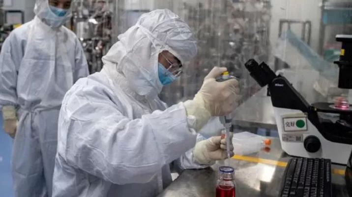 Coronavirus: Monos infectados desarrollan inmunidad al COVID-19, según estudios. Foto: AFP referencial Coronavirus: Monos infectados desarrollan inmunidad al COVID-19, según estudios. Foto: AFP referencial