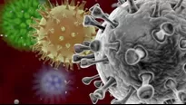 Coronavirus: Qué es el virus surgido en China y por qué genera alerta mundial. Foto y video: AFP