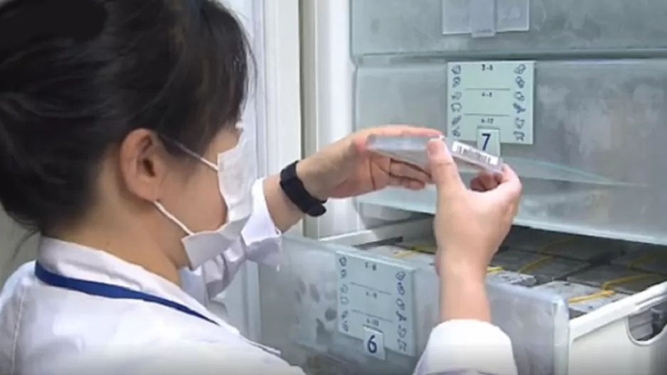 Coronavirus: Raloxifeno podría servir para tratar a pacientes con COVID-19, según investigadores europeos. Foto: KBS News