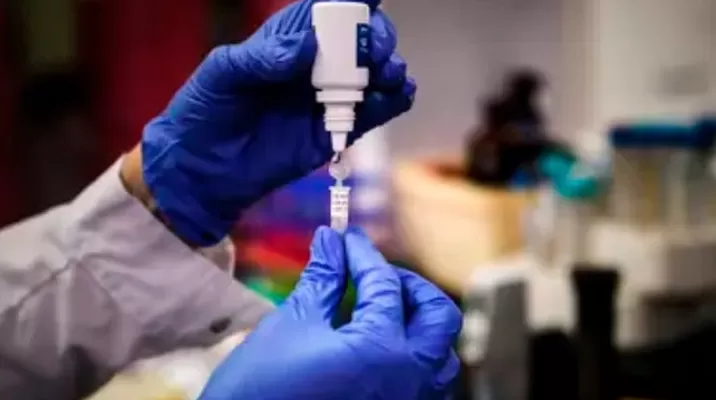Coronavirus: UNAM tiene vacuna contra COVID-19 en fase de evaluación en modelo animal. Foto: EFE referencial Coronavirus: UNAM tiene vacuna contra COVID-19 en fase de evaluación en modelo animal. Foto: EFE referencial