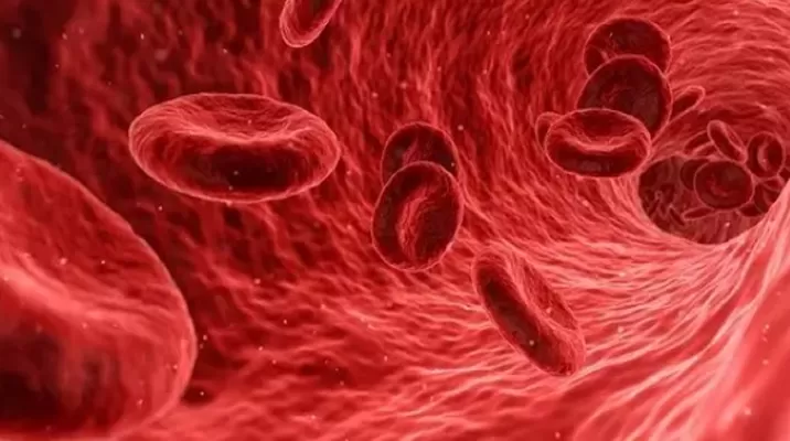 Uso de anticoagulantes puede mejorar supervivencia en pacientes ingresados por COVID-19. Foto: Pixabay Uso de anticoagulantes puede mejorar supervivencia en pacientes ingresados por COVID-19. Foto: Pixabay