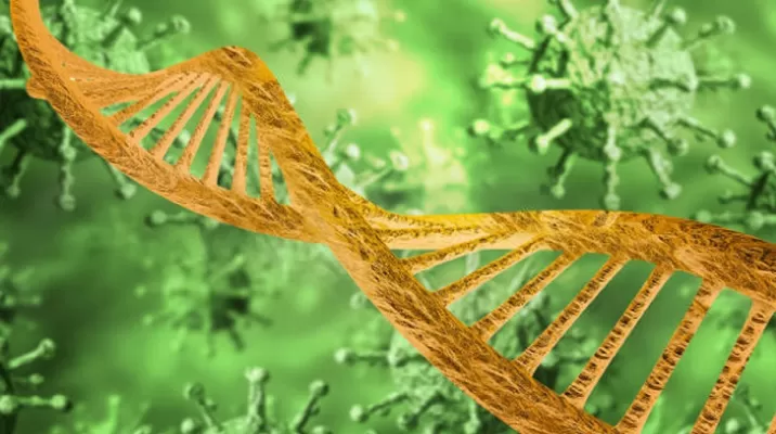 COVID-19: Personas con un segmento de ADN del neandertal podrían sufrir casos graves de coronavirus, según estudio. Foto: iStock referencial COVID-19: Personas con un segmento de ADN del neandertal podrían sufrir casos graves de coronavirus, según estudio. Foto: iStock referencial