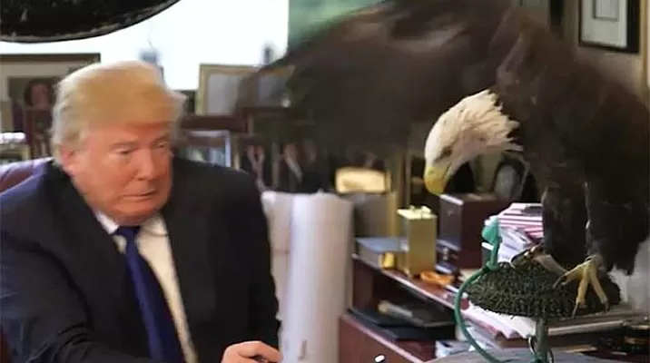 “Este pájaro es gravemente peligroso, pero hermoso”, dijo Trump. “Este pájaro es gravemente peligroso, pero hermoso”, dijo Trump.