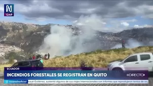 Foto y video: Canal N