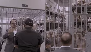 Foto y video: Canal N