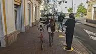 Ecuador: Quito iniciará el 3 de junio la desescalada de restricciones por coronavirus