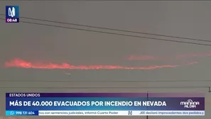 Foto y video: Canal N