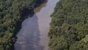 Estados Unidos: miles de peces murieron ahogados en whisky en aguas del río Kentucky. Foto: Infofueguina.com