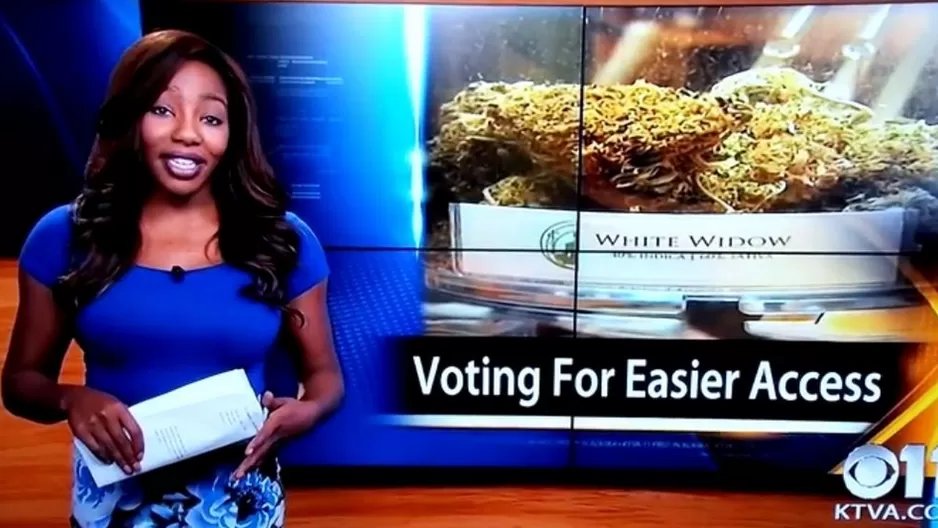 Estados Unidos: periodista renunció para luchar por la legalización de la marihuana