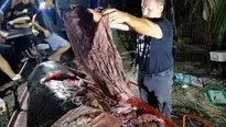 Ballena muri&oacute; de hambre con 40 kg de desechos de pl&aacute;stico en el est&oacute;mago luego de terminar varada en Filipinas. Foto: AFP