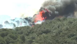 Incendios forestales arrasan miles de hectáreas en el sur de Francia. Video: AFP